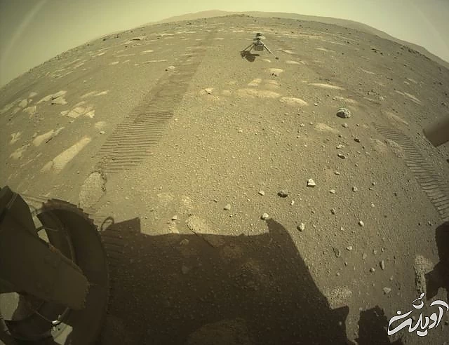 ریزبالگرد اینجنیوئیتی